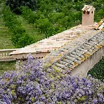 Son Hortola